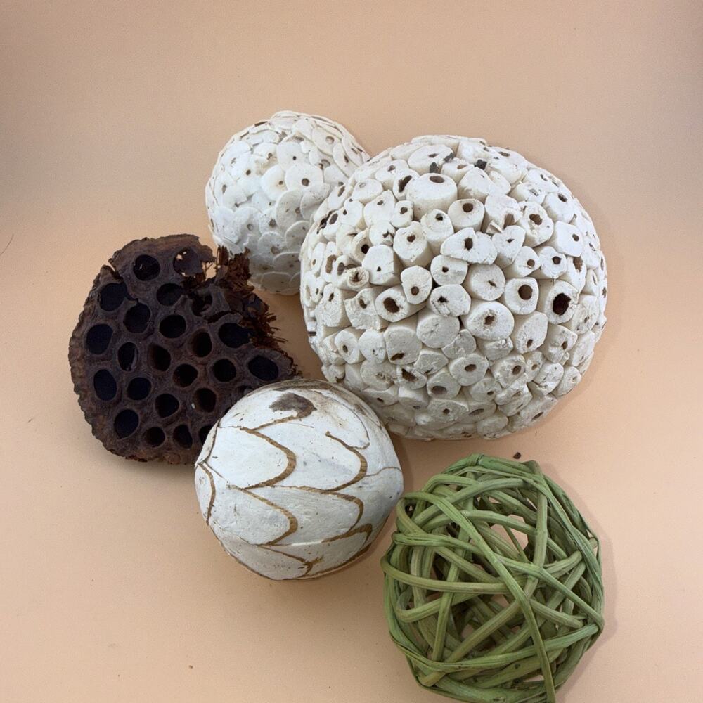 Dried Exotics Orbs 18 pieces - Evergreen/Natural